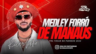 RICARDINHO IDEAL  MEDLEY FORRÓ DE MANAUS PRA PAREDÃO 2024 [upl. by Ayenet273]