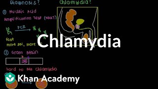 Diagnosis treatment and prevention of chlamydia  Infectious diseases  NCLEXRN  Khan Academy [upl. by Ilak611]