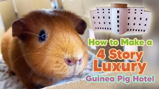 How to Make a 4 Story Luxury Guinea Pig Hotel in 1 Day [upl. by Glover794]