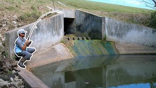 Tiny SPILLWAY has BIG Fish Surprise Catch [upl. by Esserac]