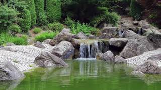 Japanischer Garten Rheinaue Bonn  Japanese Garden [upl. by Beekman676]