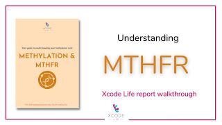 How Does Your MTHFR Gene Variant Influence the Methylation Status [upl. by Dun]