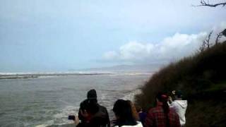 Tsunami 4 coming up the Mad River in McKinleyville CA 31111 1008am [upl. by Adnorat223]