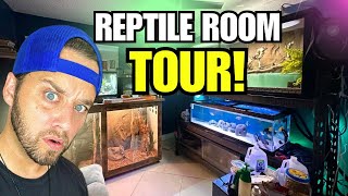 REPTILE ROOM TOUR JUNE 2024 Feeding All My Animals [upl. by Zeeba]