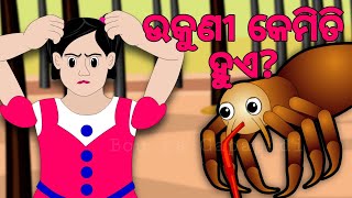 BUDHIA BUDHABAR 62  ଉକୁଣୀ କେମିତି ହୁଏ  What Causes Head Lice  BOU RA GAPAPEDI  odia Fact [upl. by Asteria745]