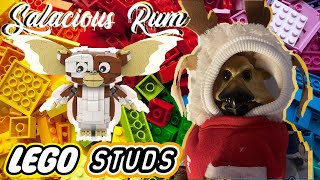 LIVE Lego Studs Extra  GIZMO MOGWAI  GREMLINS [upl. by Shiff]