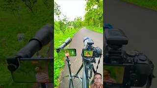 Nikon 70300mm Lens VS 60x Telephoto Lens shorts [upl. by Tegirb]