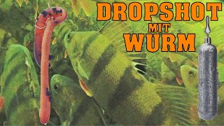 Dropshot mit Wurm  Angeln vom Feinsten [upl. by Tori]