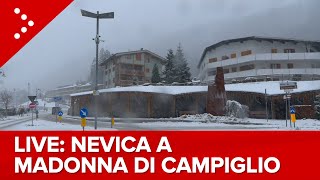 LIVE Nevicata in corso a Madonna di Campiglio diretta video [upl. by Medin969]