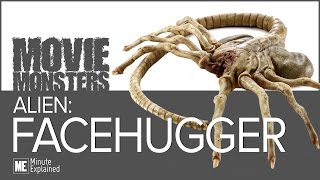 Alien FACEHUGGERS Explained [upl. by Goldman898]