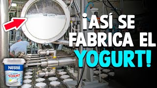 ¿Cómo Se Hace El Yogur Proceso En Fábrica [upl. by Franciskus700]