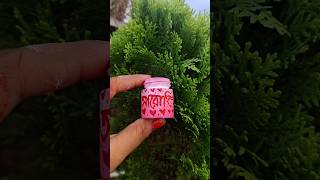 Acrylic bottle diy 😍⭕diy diycrafts diy bottlediy flowerpot minipot shortvideo youtubeshorts [upl. by Sebbie]