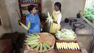 Fresh Corn Recipes 🌽 Corn Cake Corn Pancake and Corn and Coconut Snacks  Healthy Village Food [upl. by Hinkel]