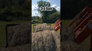 Helping a neighbor out tractor forks farming hay roundbales kioti summer trailer 5 asmr [upl. by Thielen296]