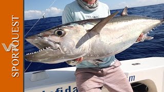 Huge Dogtooth Tuna Destroys Livebait at Rodrigues Island 🎣 [upl. by Bello]