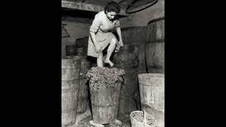 ඉතාලියේ Frascati හි මිදි පාගා දමන කාන්තාවක් 1957Woman Stomping Grapes in Frascati Italy 1957 [upl. by Yggep]