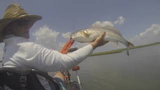 Kayak Fishing Swansboro NC redhot red drum bite [upl. by Obie]