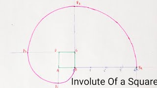 Involute Of A Square [upl. by Aieka]