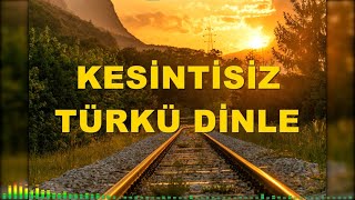 KESİNTİSİZ TÜRKÜ DİNLE  TÜRK HALK MÜZİĞİ türküler [upl. by Shea]