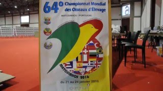 64º CAMPEONATO MUNDIAL DE ORNITOLOGIA 2016 [upl. by Anitniuq]