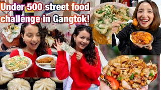 All the street food we could eat under Rs500 in Gangtok🔥Ft Dina Lepcha  Fun around SikkimM vlogs [upl. by Oryaj]