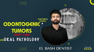 odontogenic tumors  part 2  oral pathology عزت شومان [upl. by Eiramlatsyrk]