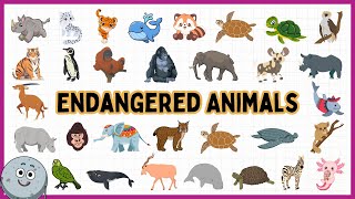 31 Endangered Animals for Kids  Learn Endangered Animals for Children [upl. by Atina]