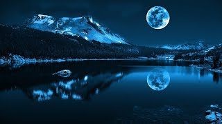 Classical Music  Beethoven  Moonlight Sonata  Bandura and Accordion  Relaxing Music BampB project [upl. by Ailaro]