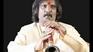 Pilloo Dhun Pt Rajendra Prasanna   Shehnai Instrumental   Colour Of Life Shehnai [upl. by Shetrit]