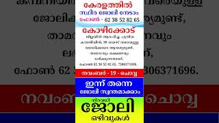 kerala jobs 2024 todays job malayalam jobs November 19 [upl. by Floro]