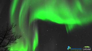 Northern Lights in Abisko Sweden [upl. by Eylhsa]