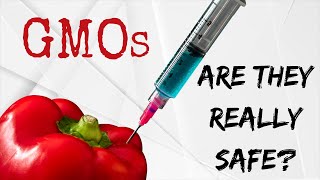 GENETICALLY MODIFIED ORGANISMS ARE THEY REALLY SAFE [upl. by Hepsiba]