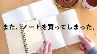 ダイソーでロルバーンスリムサイズのノート発見！ハトメでカスタム stationery haul vlog [upl. by Nabalas]