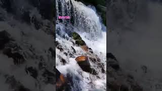 waterfall means fall of water music song newsong [upl. by Suirauqram215]