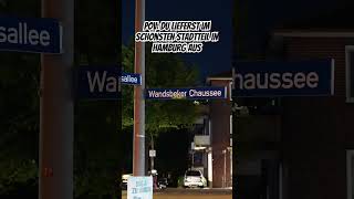 Wandsbek der schönste Stadtteil Hamburgs ShortsYouTubeShortsViralTrendingExplore [upl. by Naxor709]