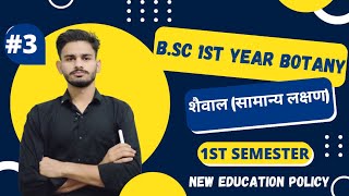 शैवाल bsc 1st year botany chapter 1 algae  botany bsc 1st year  botany 1st semester classes 2024 [upl. by Pooley]