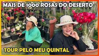 TOUR PELAS MINHAS PLANTAS  MAIS DE 1000 RDS [upl. by Borlow]