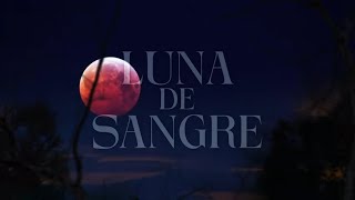 Mägo de Oz  Luna de sangre Lyric Video Oficial [upl. by Madanhoj]