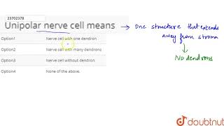 Unipolar nerve cell means  12  STRUCTURAL ORGANISATION IN ANIMALS  BIOLOGY  DINESH PUBLIC [upl. by Savell]