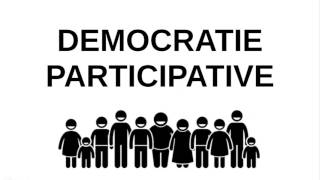 INFOGRAPHIE La démocratie participative solution pour une autre politique [upl. by Mareld]