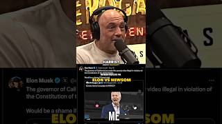 Joe Rogan Reacts to Musk VS Gavin Newsom [upl. by Dev]