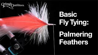 Basic Fly Tying Palmering Feathers [upl. by Isac]