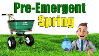 When to Put Down Spring Pre Emergent [upl. by Aicella]