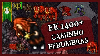 Tibia hunt EK 1400 Caminho Ferumbras [upl. by Jeffery]