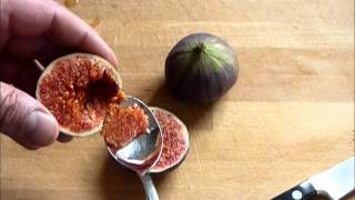 frische Feigen richtig essen sehr gesund how to eat figs Schale [upl. by Aleetha]