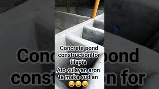 Tilapia Farming Concrete pond construction [upl. by Annairdua]