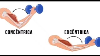 Fase Excêntrica VS Concêntrica l Eccentric VS Concentric [upl. by Jandel]