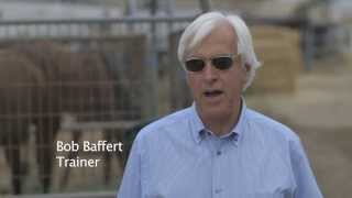 Breeders Cup Moments Bob Baffert on Zenyatta [upl. by Weinhardt744]