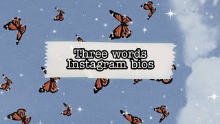 3 Words Instagram bios ideas Super Interesting  HRIDYAk [upl. by Lawry]