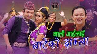 New Nepali lok dohori song  Mali gailai bateko damla  Dolma Lamichhane Magar amp Prem Sharma 4K [upl. by Ikim877]